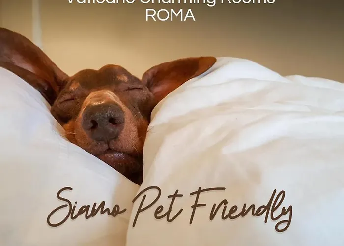 Vaticano Charming Rooms